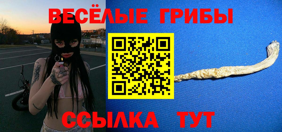 Татарск  Галлюциногенные грибы прущие грибы  где найти   Вход с VPN  Галлюциногенные грибы ЛСД 